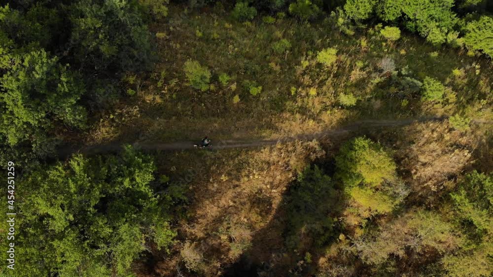 Aerial Drone shot of woman with dog at forest in the mountains in Kazakhstan Aerial Drone shot of woman with dog at forest in the mountains in Kazakhstan