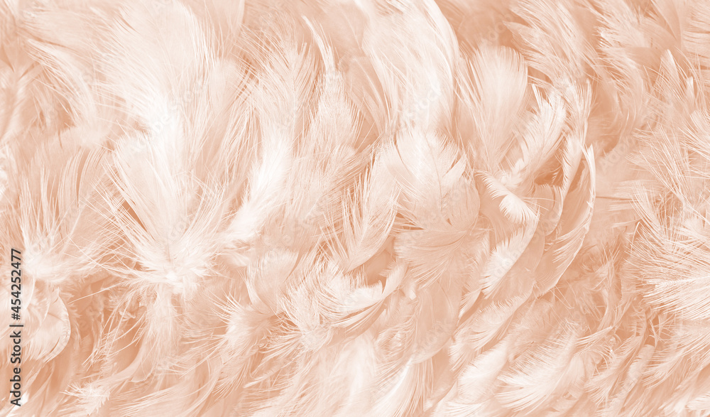 brown feather texture pattern for background brown feather texture pattern for background
