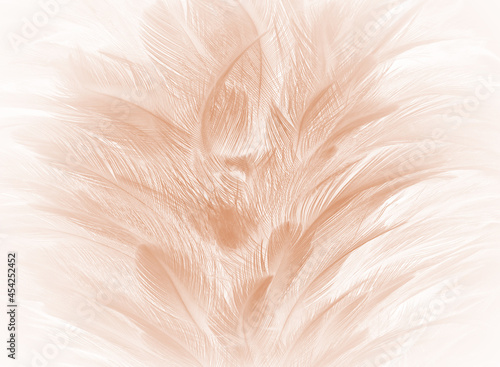 feather texture pattern for background