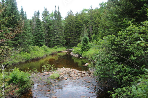 Magnificent view on an Adirondack stream photo