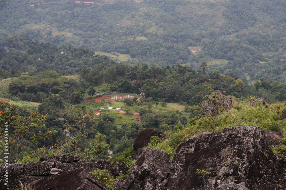 Fototapeta premium Beautiful landscape in Haputhale