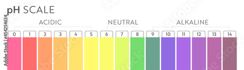 pH Value scale chart. Acid-base balance infographic. Education Poster