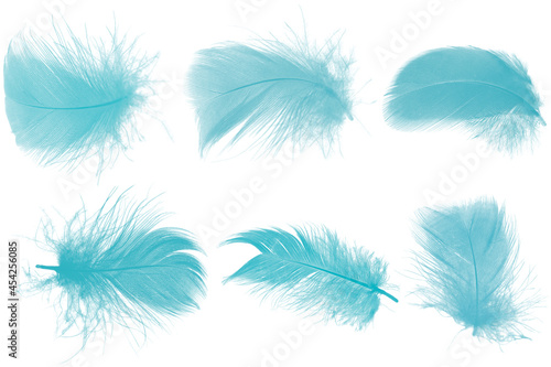 collection green turquoise colors tone feather isolated on white background