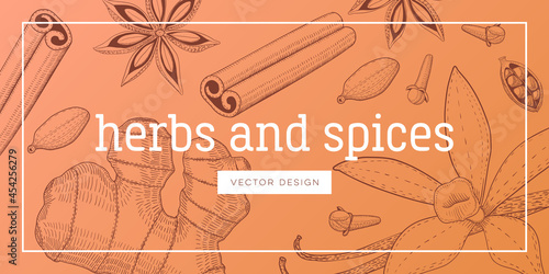 Set of seasoning and culinary plant, hand drawn sketch vector illustration, vintage engraving condiment collection, template for book cover or wallpaper.