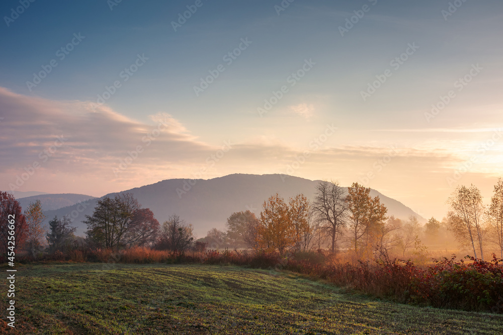 Fototapeta premium foggy rural landscape at sunrise. beautiful mountainous countryside in late autumn season. empty fields. trees in red and orange foliage. hazy atmosphere