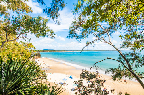 Tree branches framing a blue sky beach with sand along the shore.