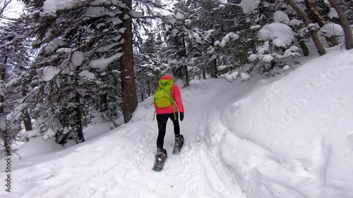 Woman snowshoeing in winter forest with snow covered trees on snowy day. People hike in snow hiking in snowshoes. photo