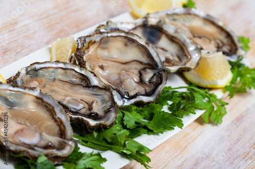 Opened raw oysters with lemon and parsley