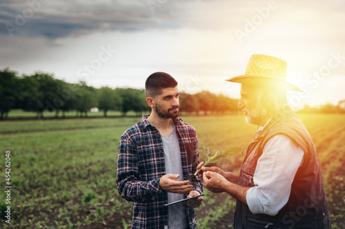 farmers using digital tablet outdoors, examine corn