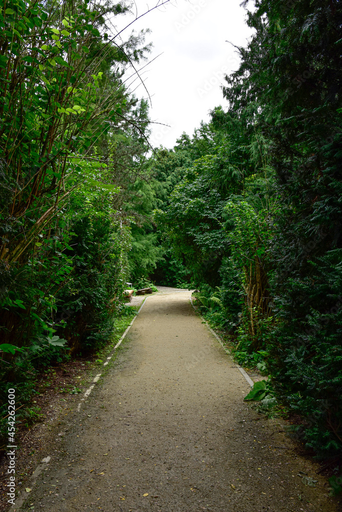 Bolestraszyce arboretum, Poland a beautiful green place, trees, shrubs, ponds, flowers on a summer August day. Bolestraszyce arboretum, Poland a beautiful green place, trees, shrubs, ponds, flowers on a summer August day.