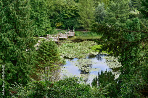 Bolestraszyce arboretum, Poland a beautiful green place, trees, shrubs, ponds, flowers on a summer August day.
