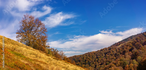Panorama of the autumn mountain landscape. Warm colors of autumn and blue sky