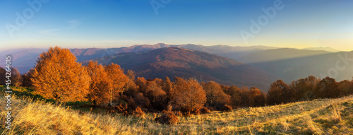 Panorama of the autumn mountain landscape. Warm colors of autumn and blue sky © Rejdan