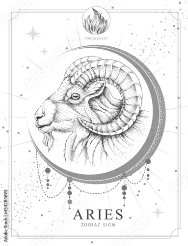 Modern magic witchcraft card with astrology Aries zodiac sign. Realistic hand drawing ram or mouflon head