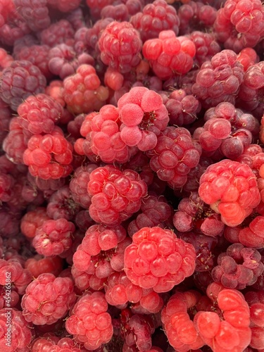 raspberry