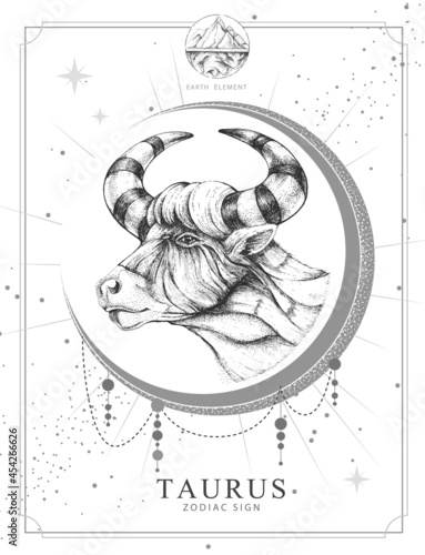 Modern magic witchcraft card with astrology Taurus zodiac sign. Realistic hand drawing bull head
