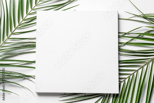 Blank poster and palm leaves on white background © Pixel-Shot