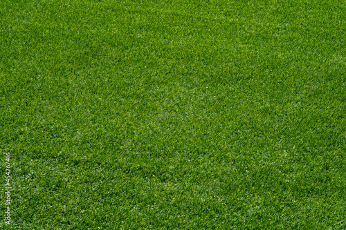 Green grass background, football field 