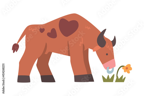 Brown Spotted Bull with Horns and Ring in the Nose Grazing on the Field Vector Illustration