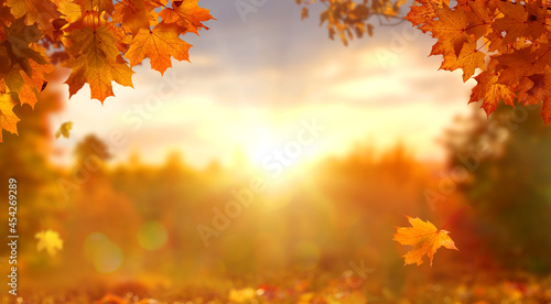 Sunny autumn day with beautiful orange fall foliage in the park. Ground covered in dry fallen leaves lit by bright sunlight. Autumn landscape with maple trees and sun. Natural background. photo