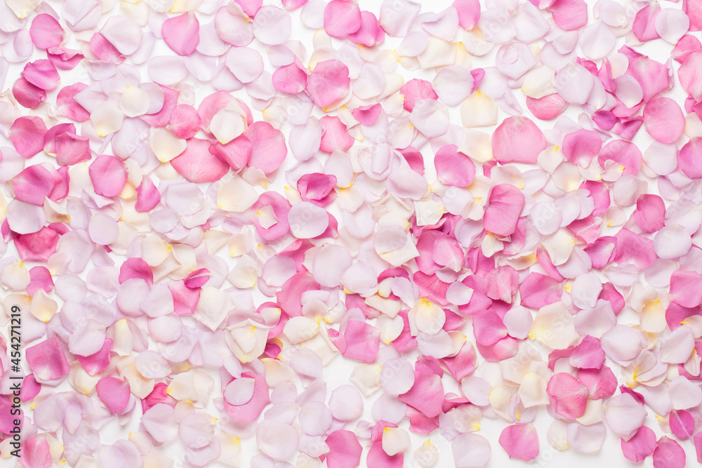 Fototapeta premium Pink rose flowers petals on white background. Flat lay, top view, copy space.