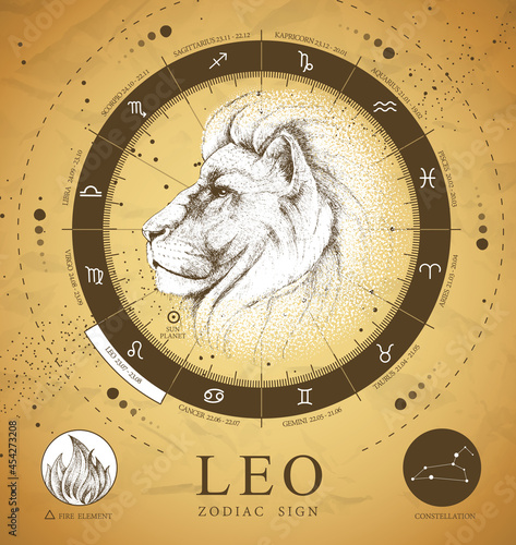 Vintage magic witchcraft card with astrology Leo zodiac sign. Realistic hand drawing lion head. Zodiac characteristic