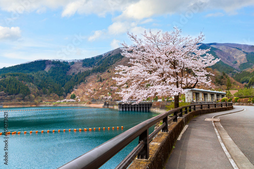 Photography Lake Okutama in spring, Tokyo prefecture.
