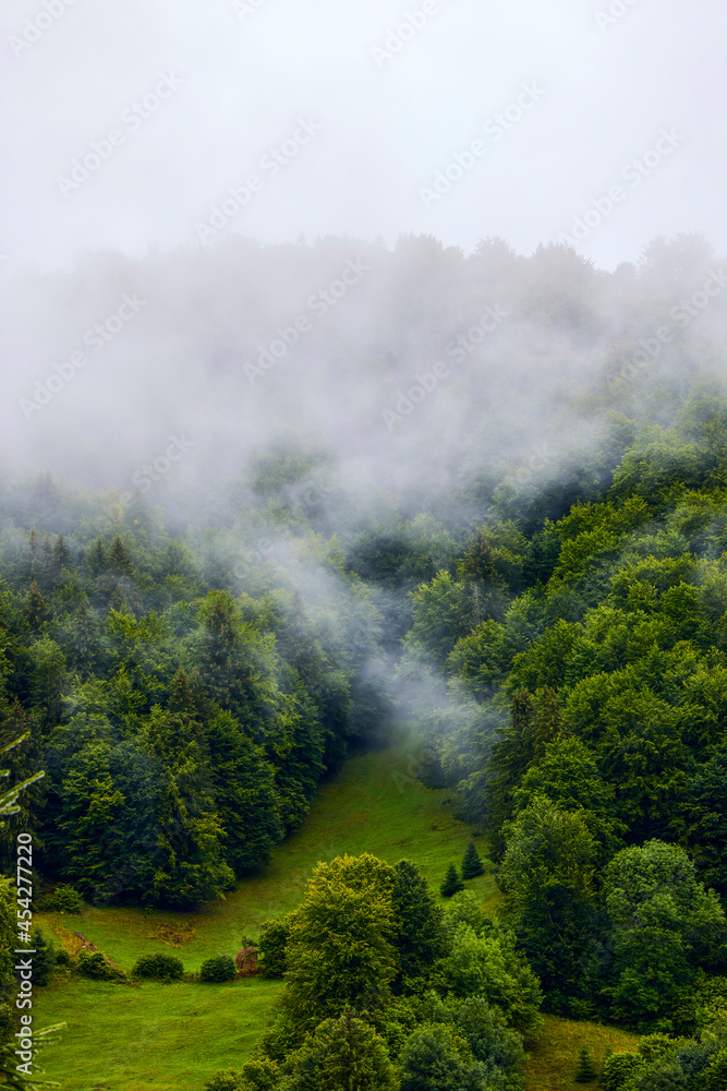 beautiful landscape in the mountain area in the Carpathian mountains Romania beautiful landscape in the mountain area in the Carpathian mountains Romania