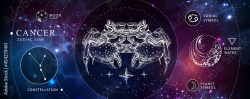 Modern magic witchcraft card with astrology Cancer zodiac sign. Realistic hand drawing crab illustration. Zodiac characteristic