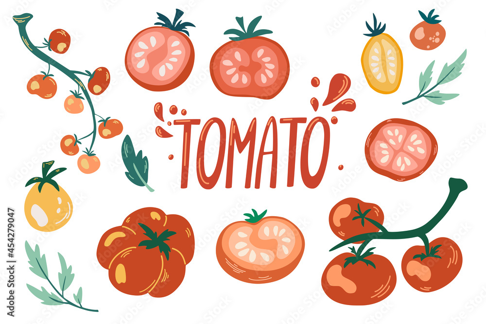Tomatoes set. Cartoon Vegetables. Tomatoes on the branches, cherry tomato, slices and hand draw lettering. Vegetarian Healthy food. Vector illustration isolated on the white background. Tomatoes set. Cartoon Vegetables. Tomatoes on the branches, cherry tomato, slices and hand draw lettering. Vegetarian Healthy food. Vector illustration isolated on the white background.