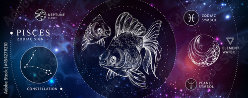 Modern magic witchcraft card with astrology Pisces zodiac sign. Realistic hand drawing koi fish illustration. Zodiac characteristic