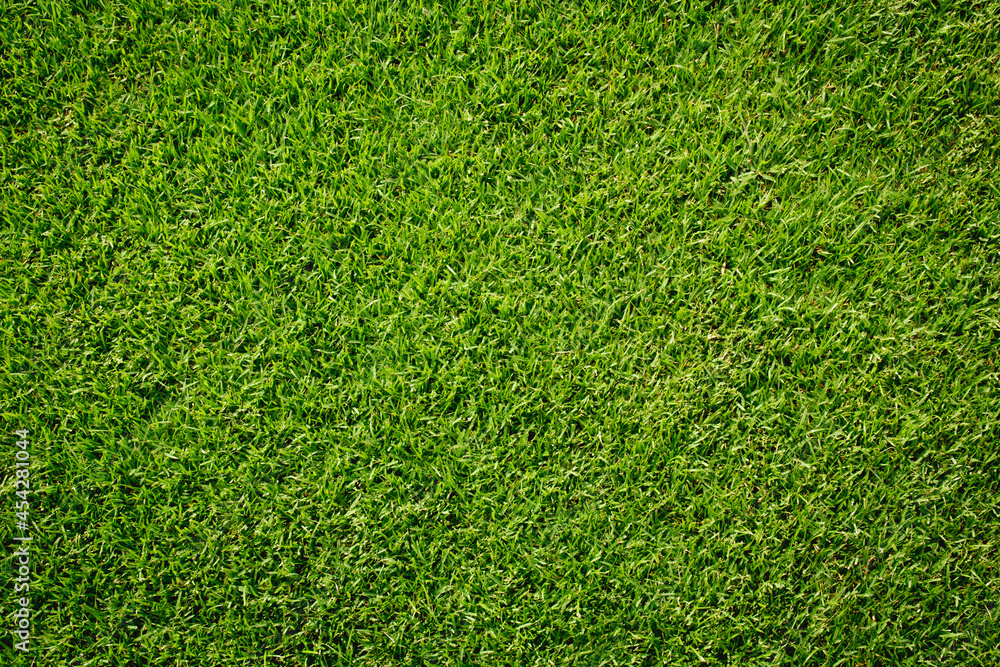 Naklejka sztuczna zielona trawa tekstura na tle