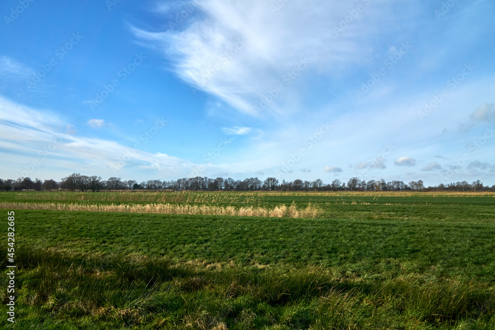 Feld Feld