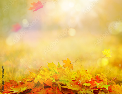 pile of autumn leaves, abstract background