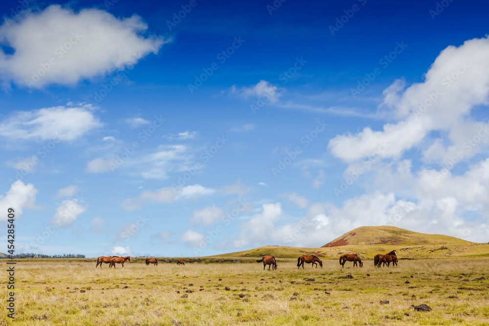 Wild horses grazing against mountain landscape