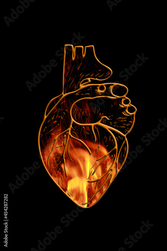 Abstract illustration, a heart burning in fire, the contour of the anatomical heart of a person © Ольга Подлесная