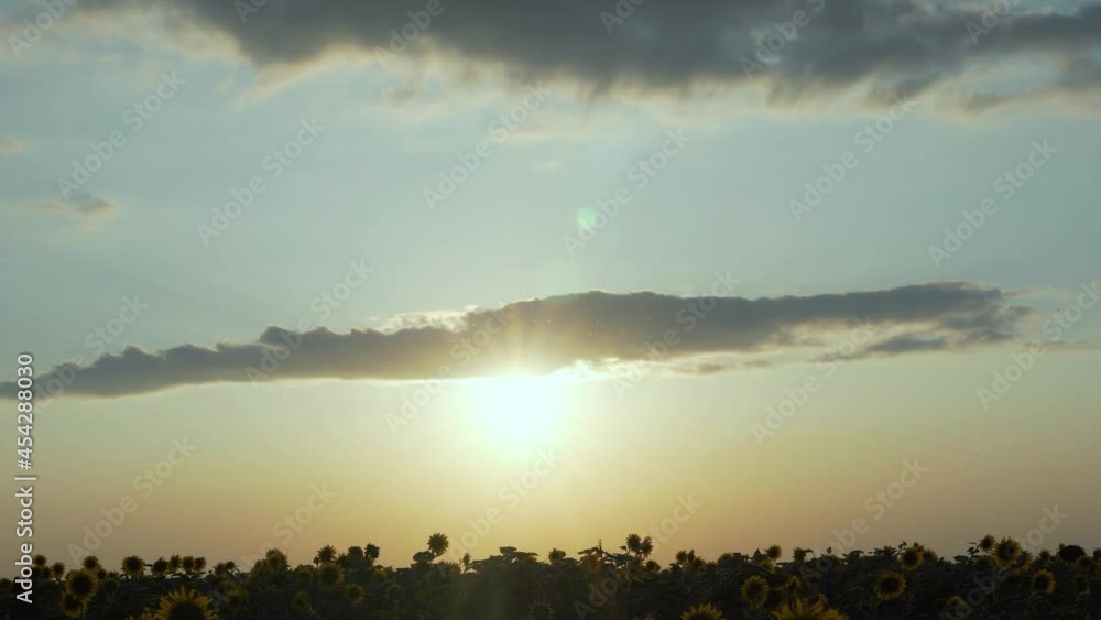 Colorful Skyscraper Sun and Sky at Sunset, Time Lapse. The Sun is a Cloud and a Beautiful Sky at Sunset in a Field of Sunflowers, a Timelapse. Beautiful Natural 4K Background. Colorful Skyscraper Sun and Sky at Sunset, Time Lapse. The Sun is a Cloud and a Beautiful Sky at Sunset in a Field of Sunflowers, a Timelapse. Beautiful Natural 4K Background.