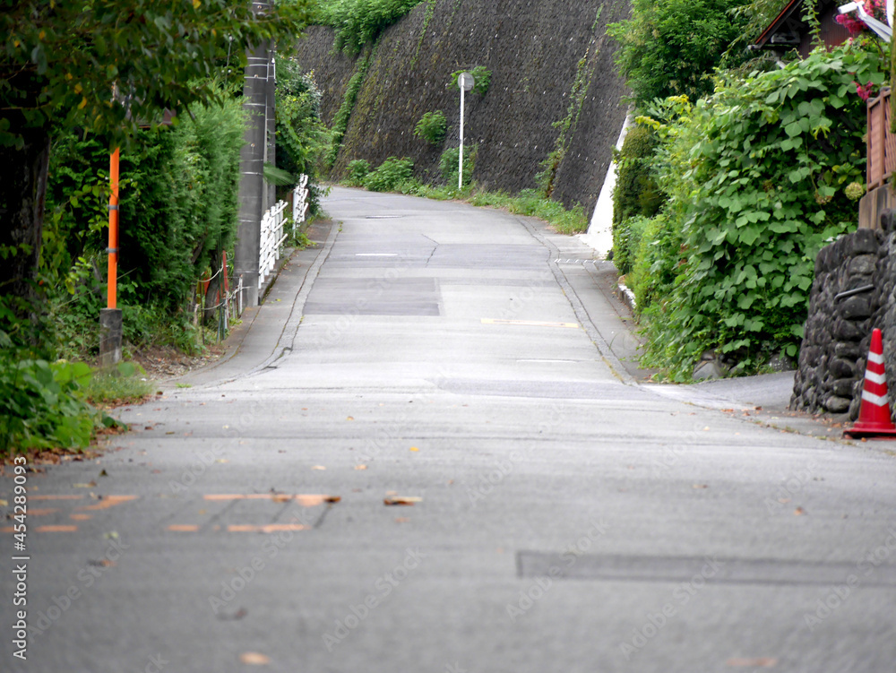 田舎道の上り坂を見上げる (Look up the uphill country road)