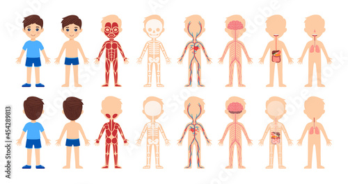 Set of isolated cartoon boys and human body system.Front and back views. Body anatomy,education for children.Skeleton,muscles, circulatory,nervous,digestive, respiratory systems.Cartoon style. Vector.