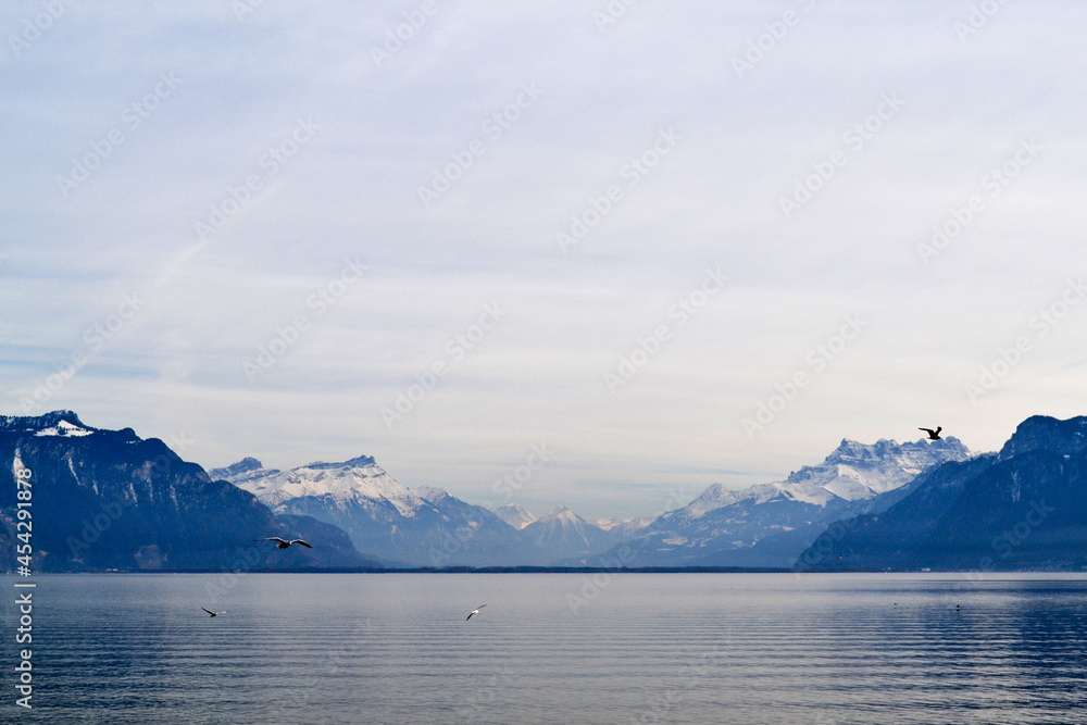 Swiss Alps and Lac Leman