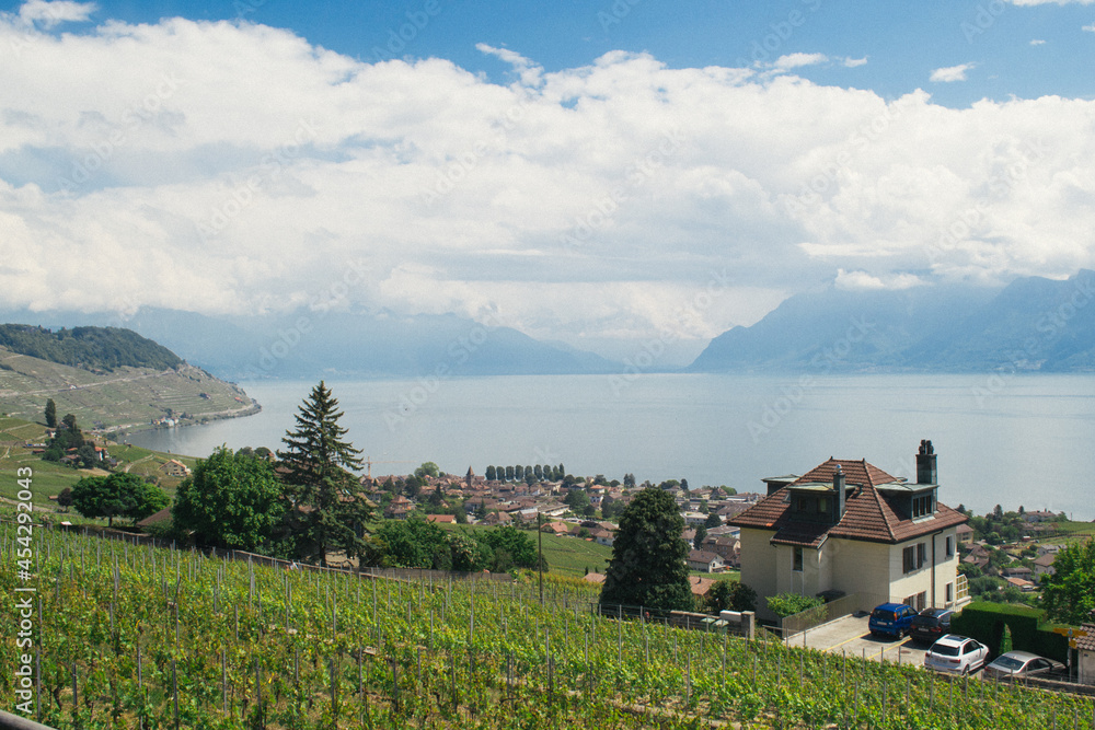 Vineyards and village by the lake Vineyards and village by the lake