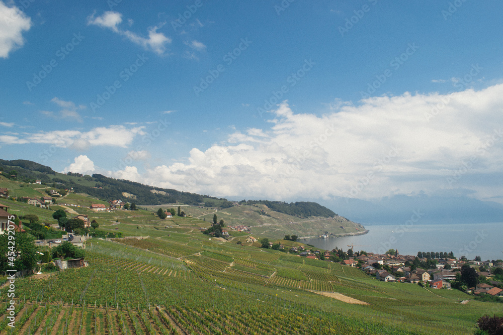 Vineyards and village by the lake