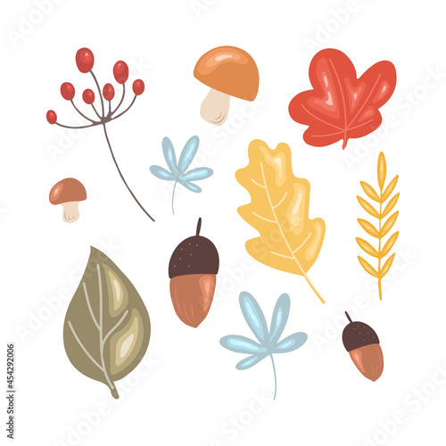 Thanksgiving floral set. Leaves, mushrooms, berries and acorns isolated on white background. Vector illustration in simple cartoon style