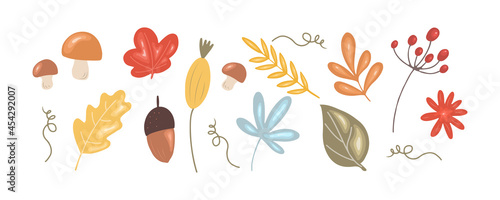 Thanksgiving floral set. Leaves, mushrooms, berries and acorns isolated on white background. Vector illustration in simple cartoon style