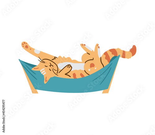 Cute srtiped cat relaxing in hammock flat vector illustration. Isolated on white.