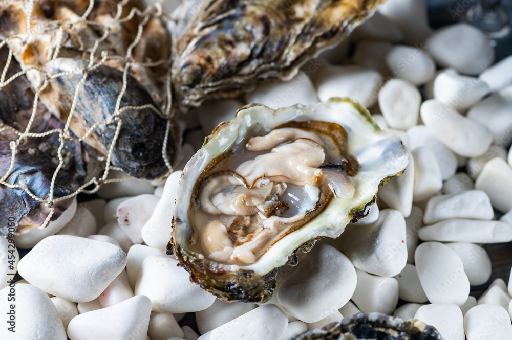 Tasty oysters on white stones. Uncooked seafood. Tasty oysters on white stones. Uncooked seafood.