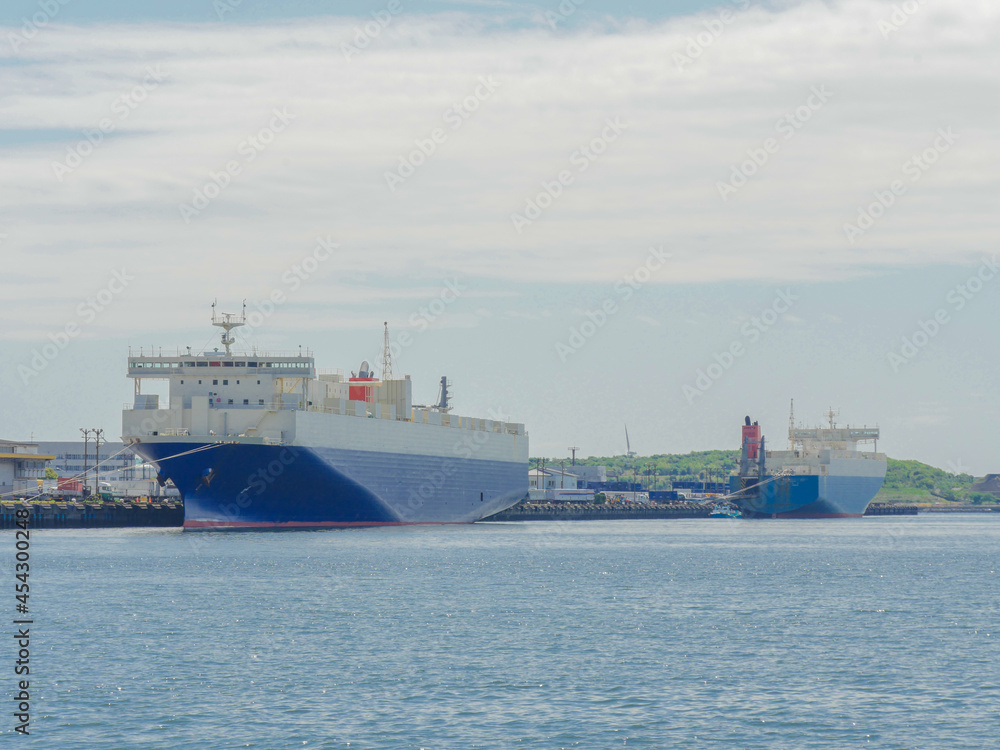 Obraz premium 東京湾の埠頭1