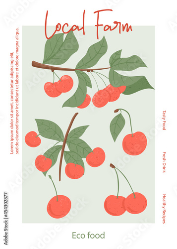 Fresh cherry juice card design. Sweet cherry berry on branch with leaves vector hand drawn banner concept.