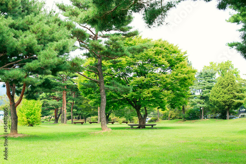 Fototapeta Naklejka Na Ścianę i Meble -  Green Park You Want to Take a Break
