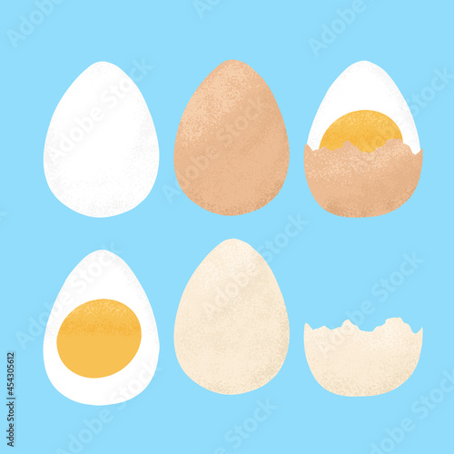 Set of boiled eggs, half and sliced vector hand drawn illustration. Healthy food. Cooked tasty chicken eggs.
